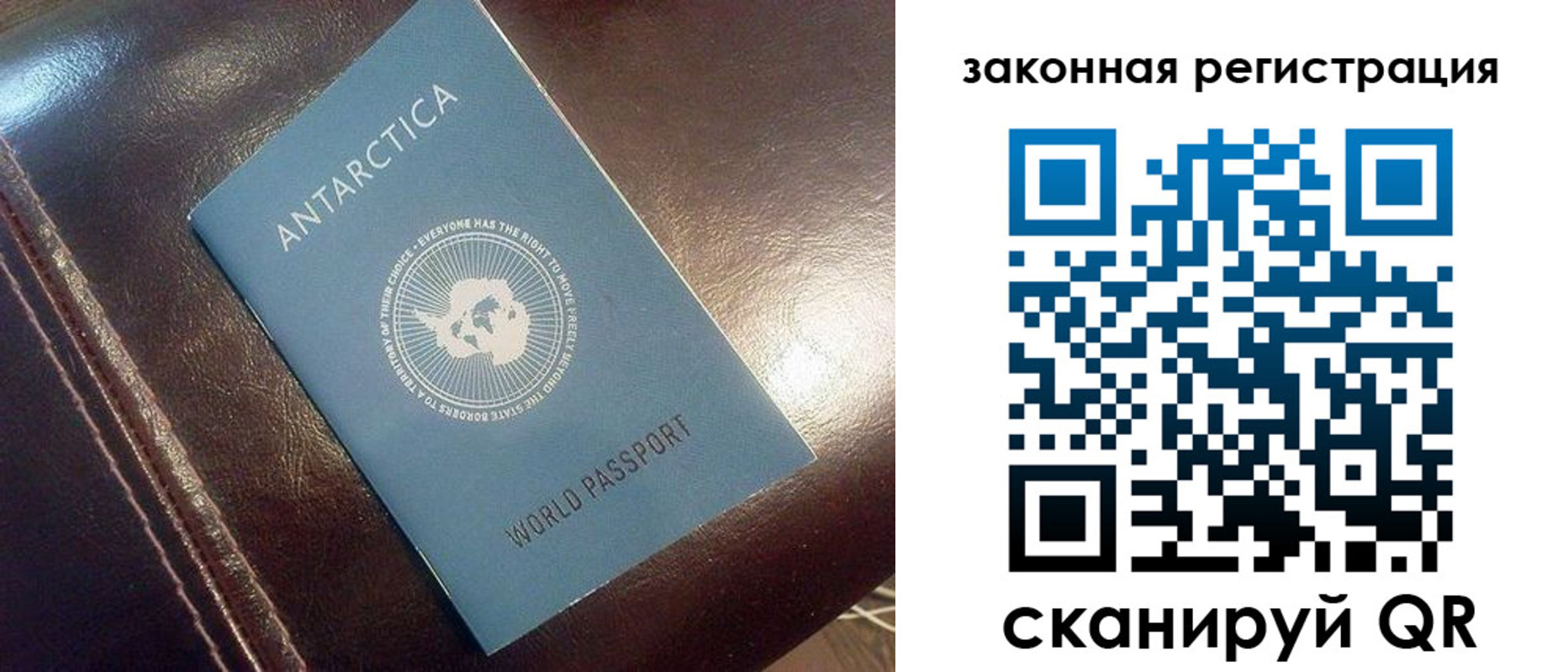 временная регистрация поиск в Сафоново